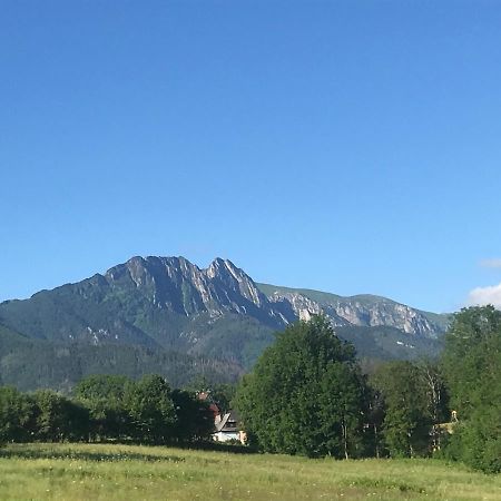 Camping Zakopane Willa Skoczek Exterior photo