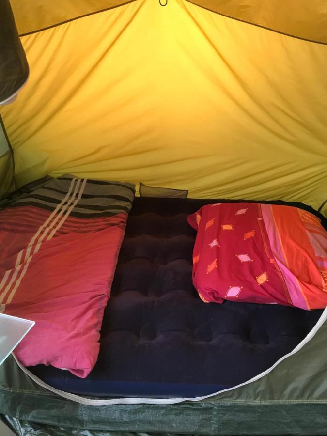 Camping Zakopane Willa Skoczek Exterior photo