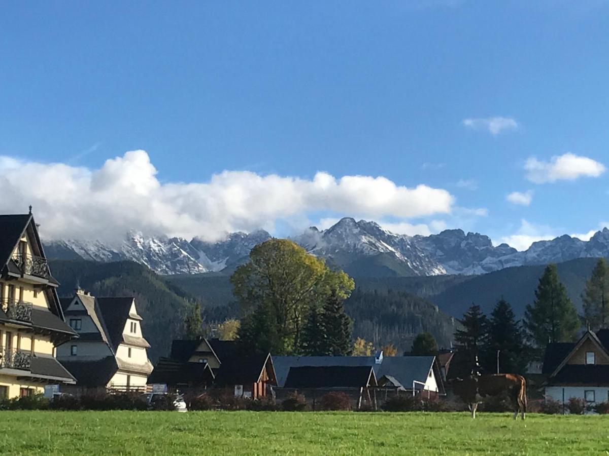 Camping Zakopane Willa Skoczek Exterior photo